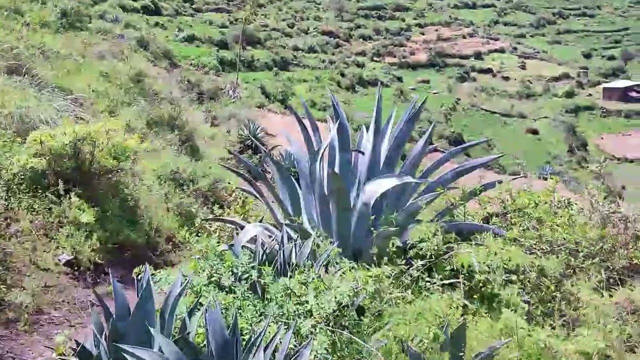 Distrito de Gorgor, Cajatambo, Lima, Perú 2024 //sentimientos//