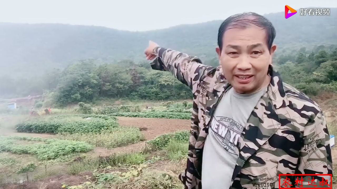 开笼5分钟农村大叔脸色变青，直叫麻烦了，不知道鸽子要丢多少