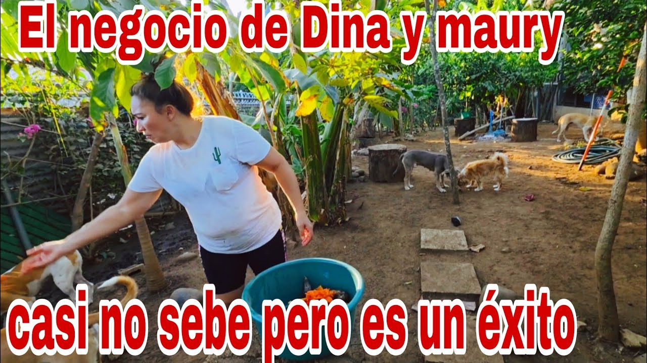 El negocio de Dina y maury no sebe pero es un éxito😱😳