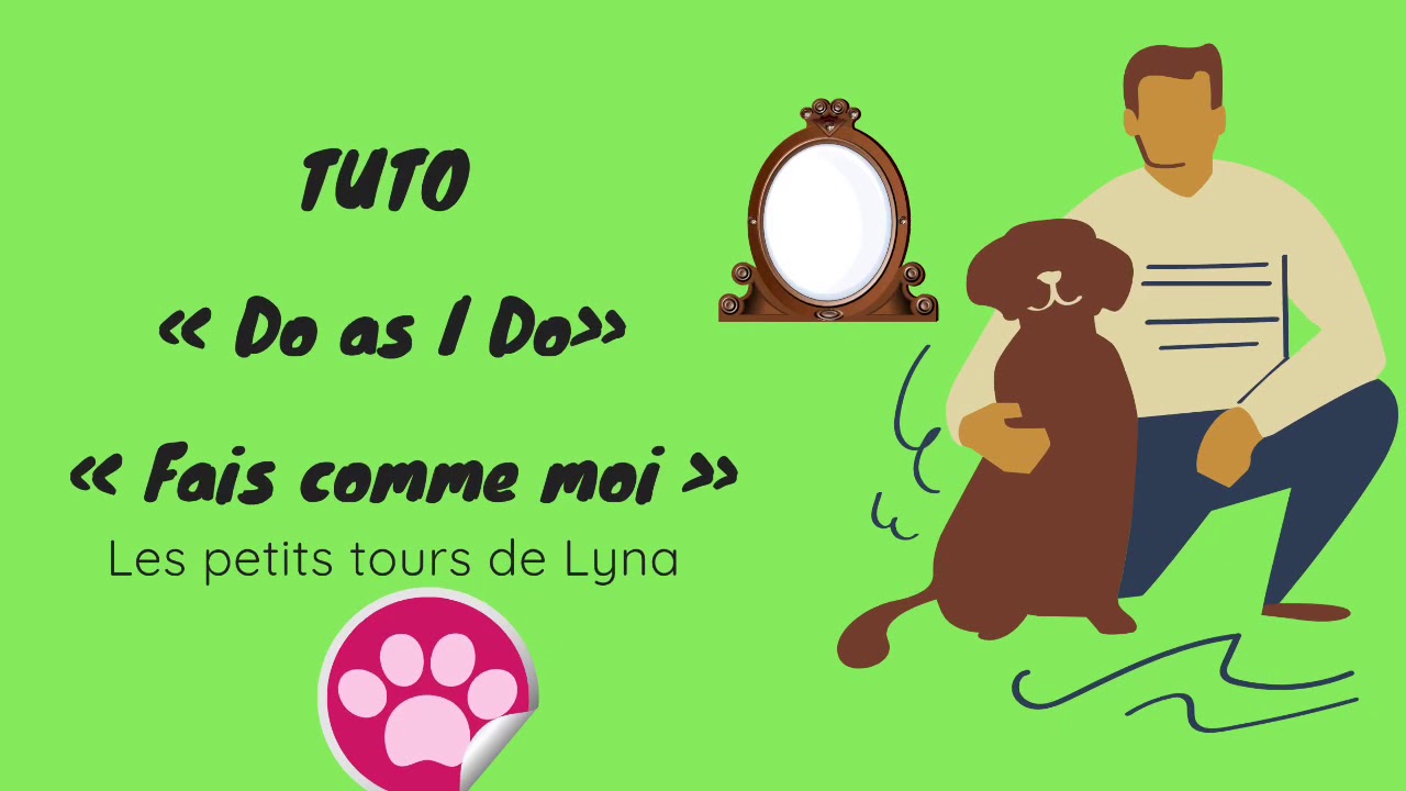 Tuto « Do As I Do » ou « Fais comme moi » , chien qui imite son maître