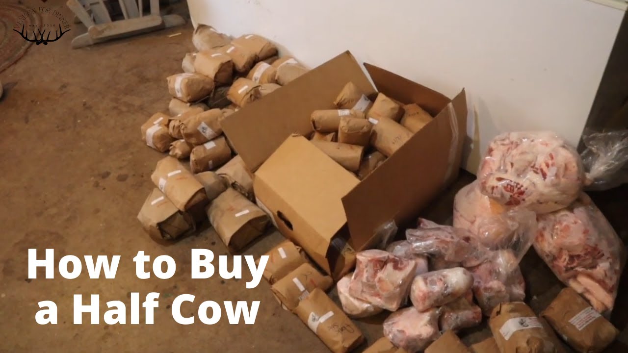 What Cuts are in Half a Cow When I Buy from a Farmer? (Weights, Cuts, Prices and Freezer Space)
