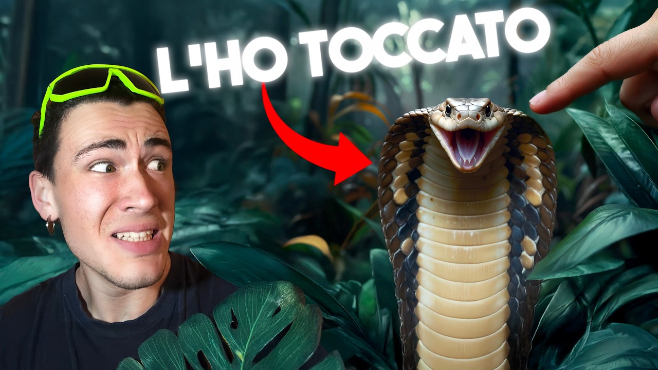 TOCCO UN COBRA IN SRI LANKA (+10.000 💀/anno)