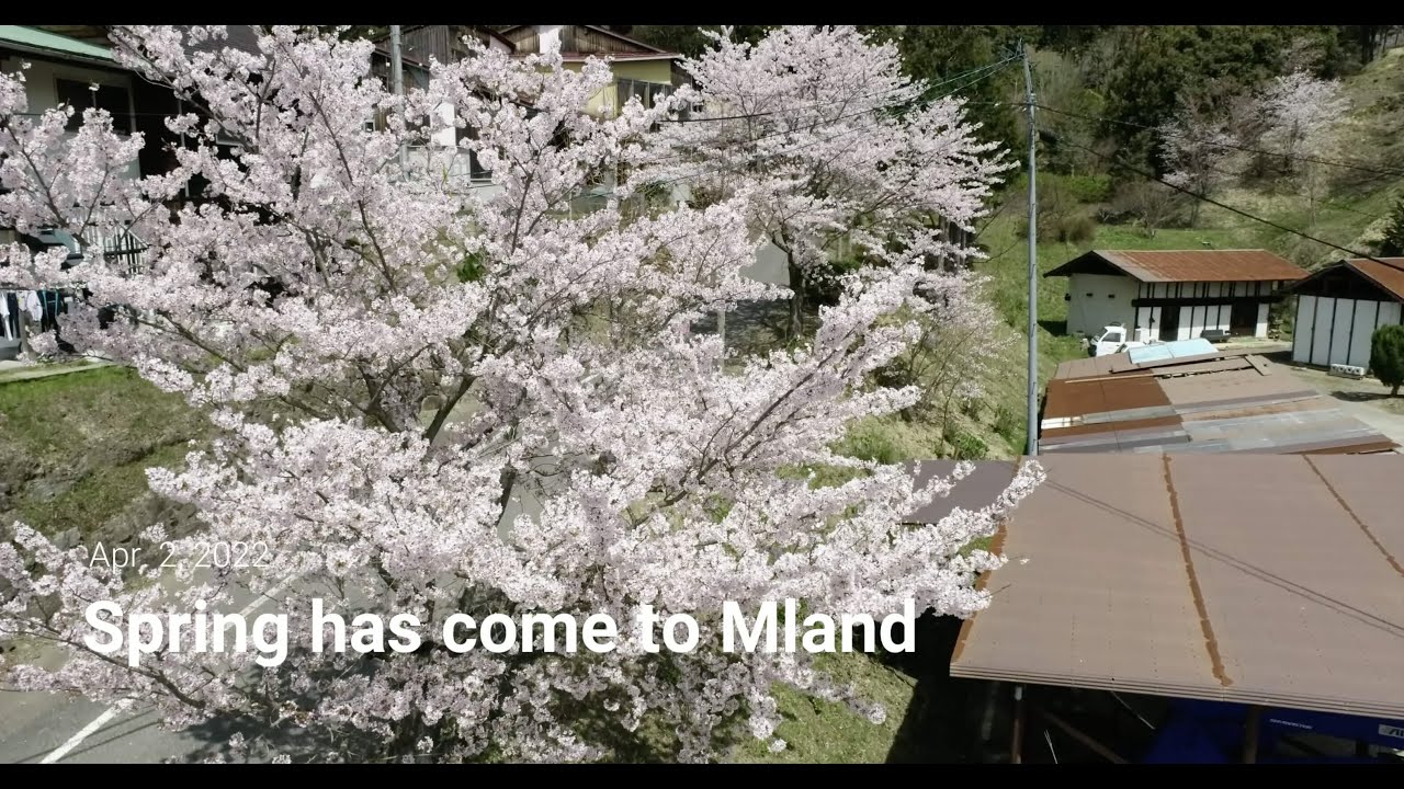 【公式】Mランド益田校　Spring has come to Mland 2022