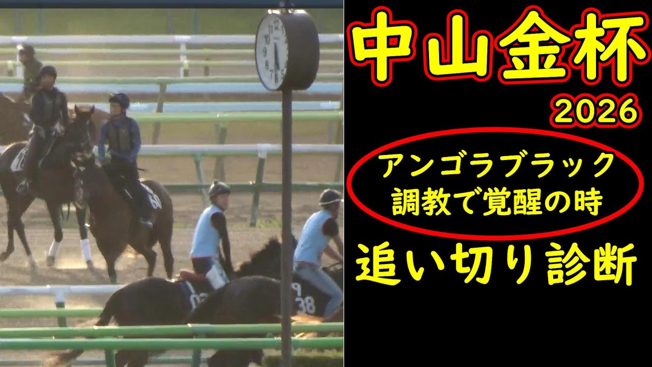 中山金杯2026追い切り診断｜アンゴラブラックが別格の動き！リカンカブール復活気配＆マイネルモーント万全態勢