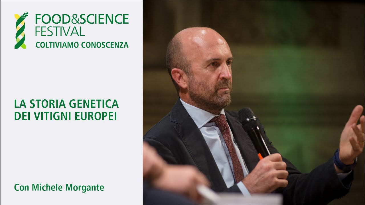 La storia genetica dei vitigni europei