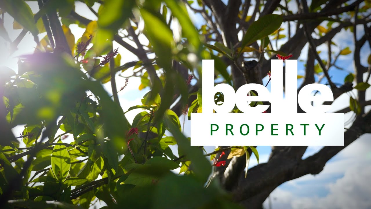 260 Burns Bay Road, Lane Cove
