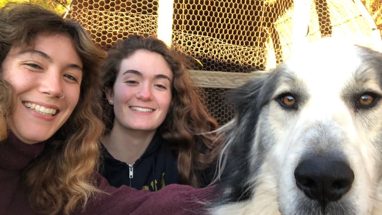 Edie and Zoe Bloopers 2025 Edition