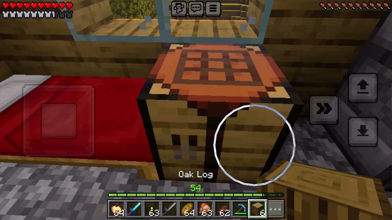 Playing Minecraft (tour)