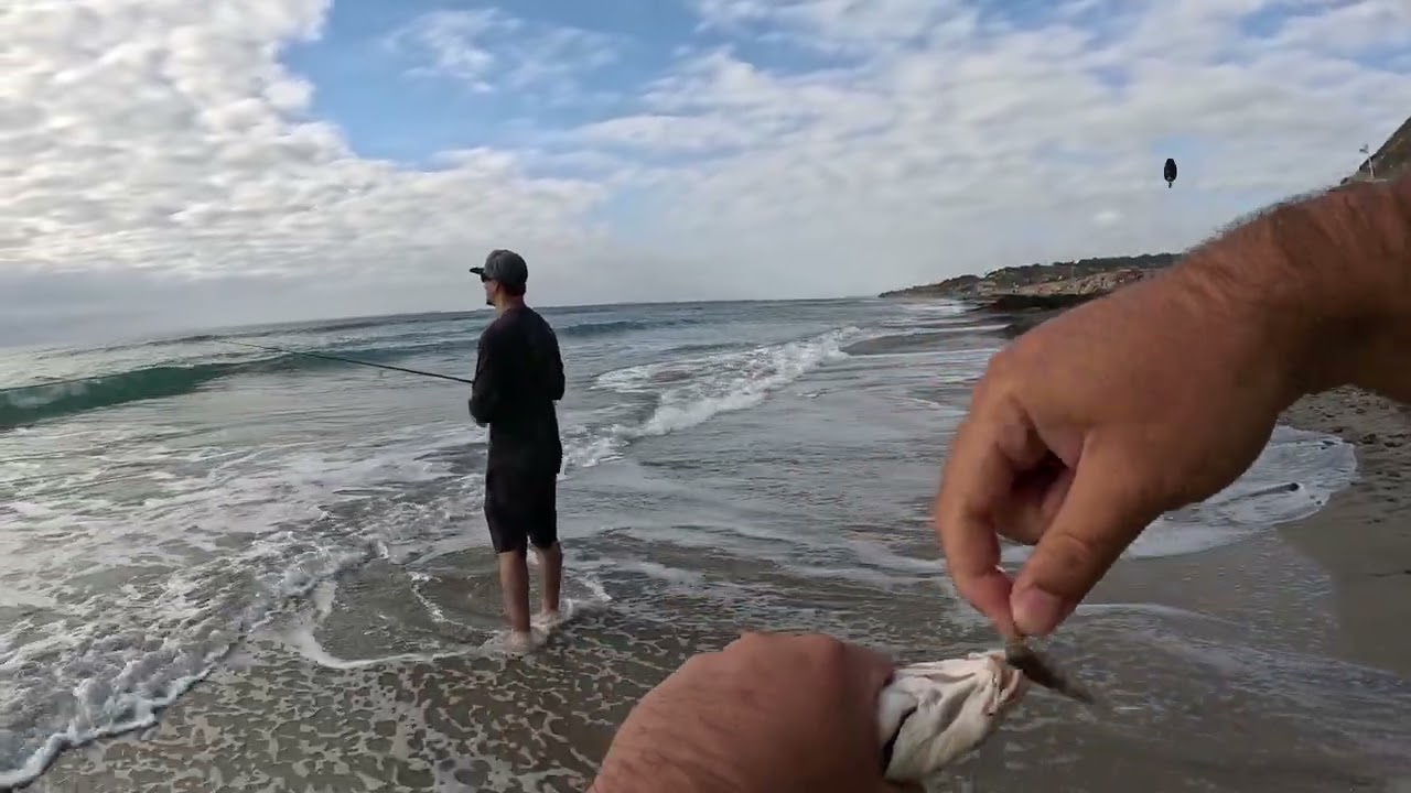 Torrey Pines SoCal Surf Fishing