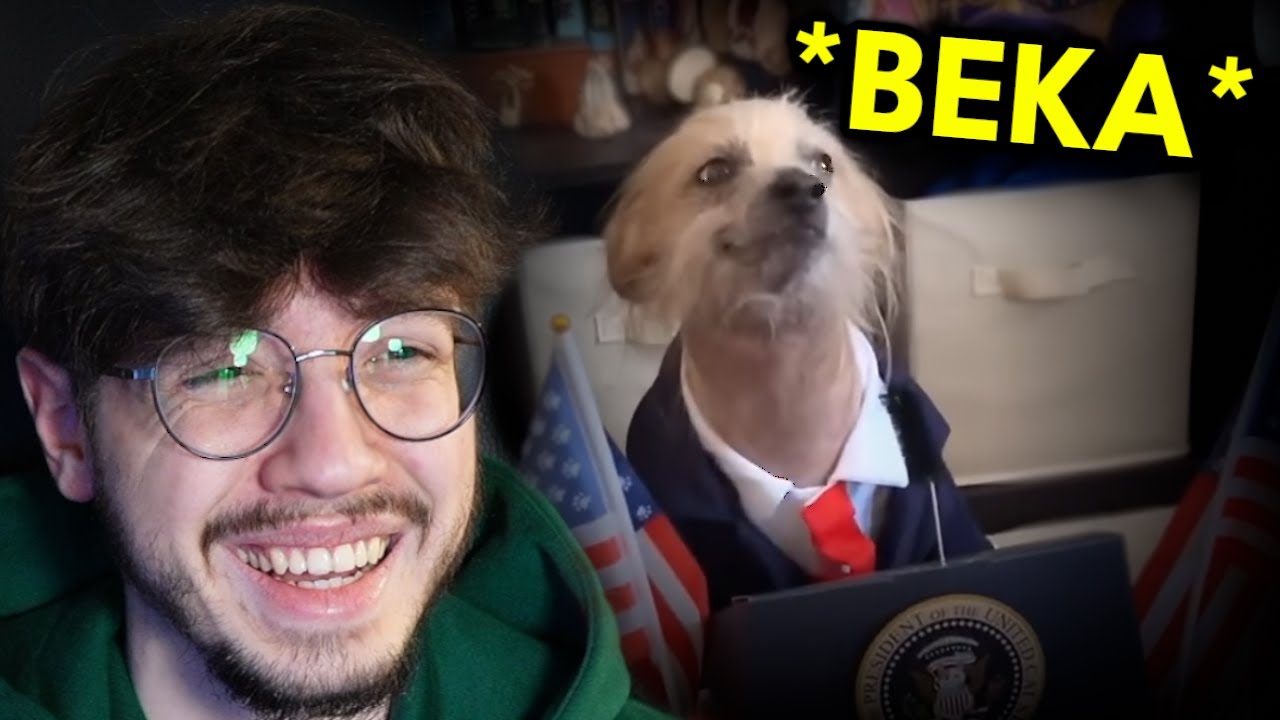 13 minut śmiesznych filmików z Tamae (Daily Dose of Internet)