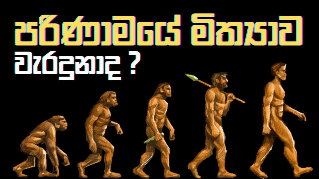 පරිණාමයේ මිත්‍යාව ( 01 )