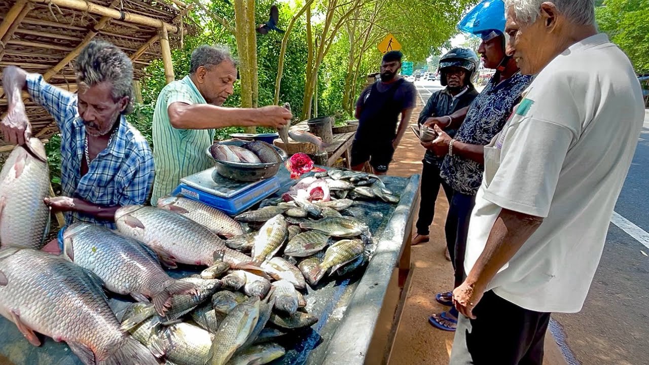 No One Show This! Discover the Surprising Rituals of Sri Lanka's Rural Street Fishmongers Struggle