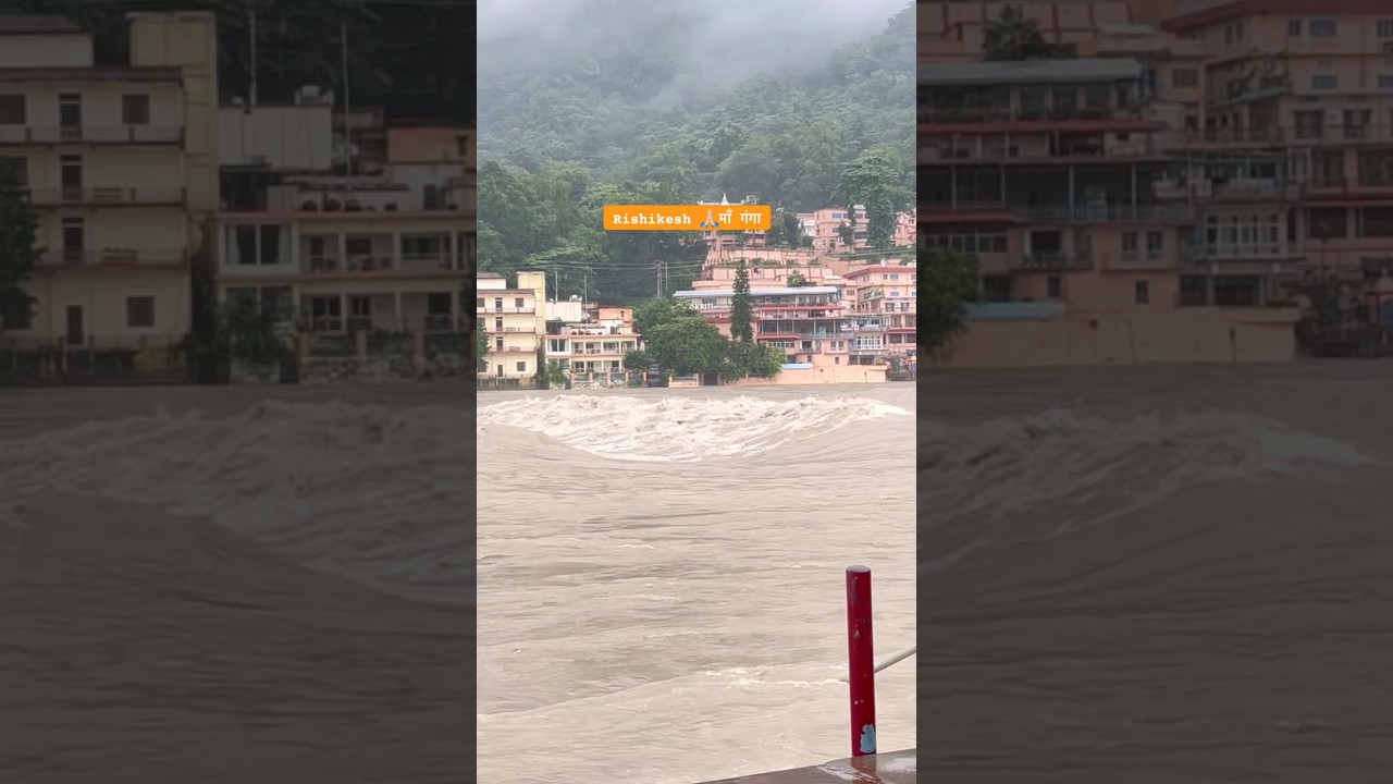 ऋषिकेश जाना पड़ गया भारी | Rishikesh Latest Update 🙏🏼 #travel #nature #shorts #rishikeshnew #ganga