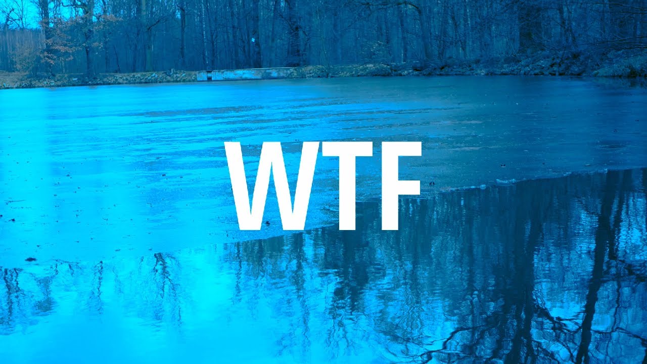 Tony Pepperoni - WTF (prod. Bobby Sweed)