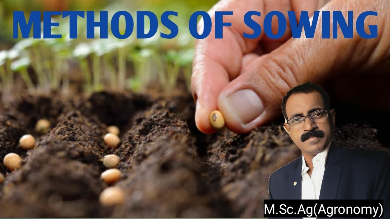 METHODS OF SOWING