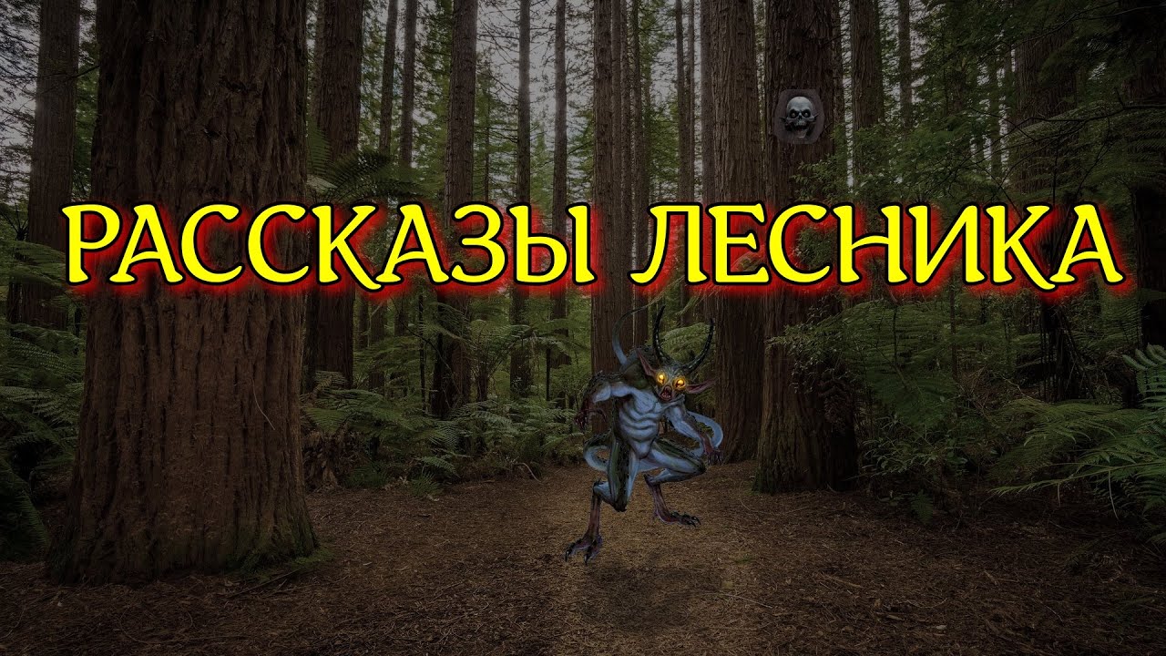 РАССКАЗЫ ЛЕСНИКА  Реальная история