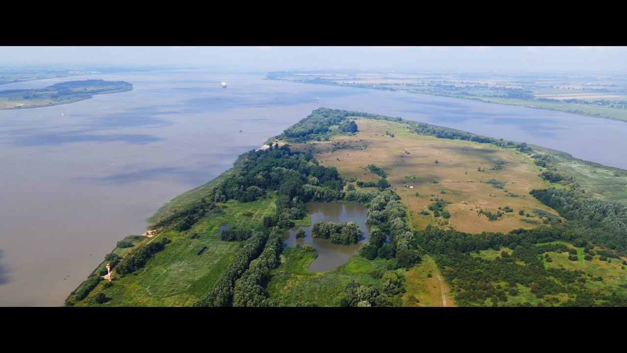 Wilde Insel Pagensand