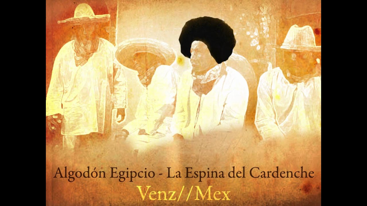 Algodón Egipcio -- 'La Espina del Cardenche'