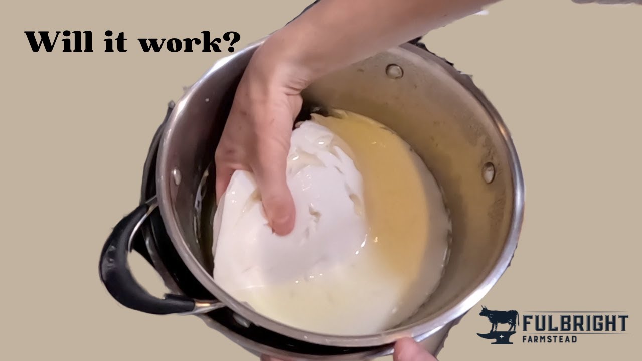 I Tried Making Mozzarella from Sheep Milk and Here's What Happened