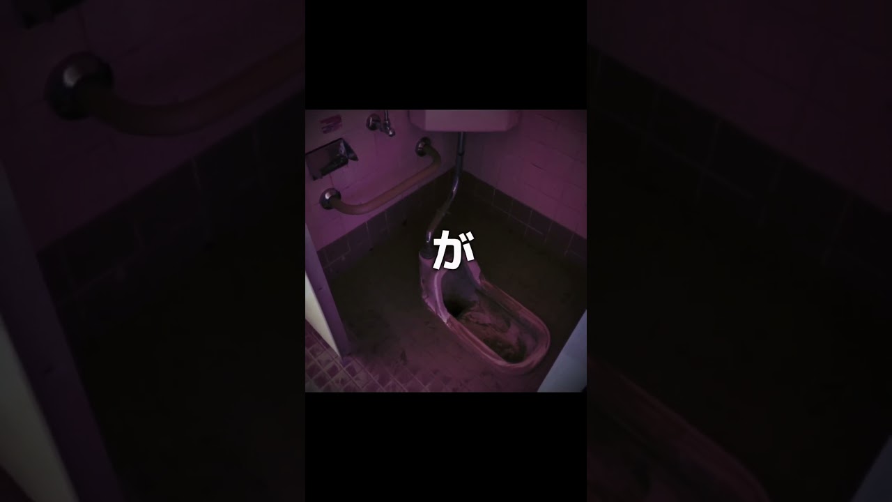 #ビノミ #shorts