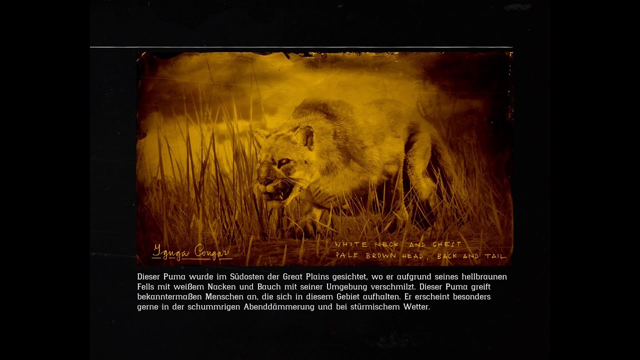 Legend&auml;rer Iguga-Puma - Red Dead Redemption 2 online - Ort - Zeit - #rdr2