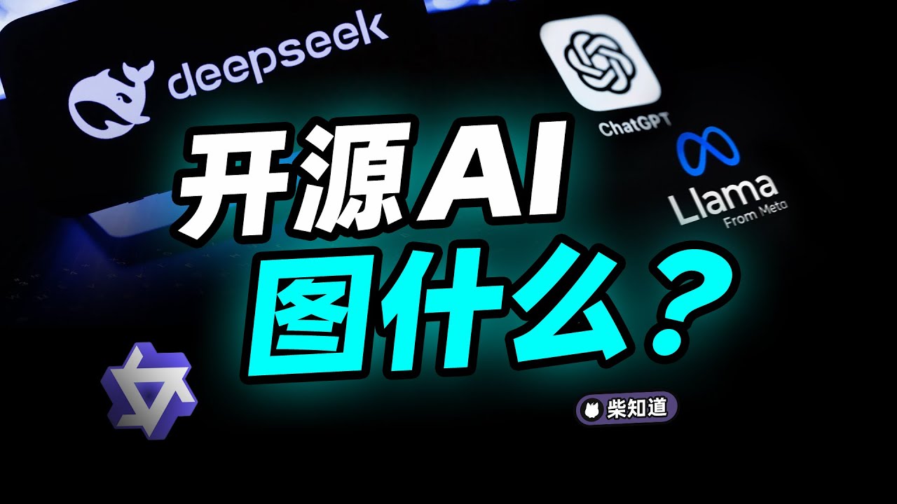 开源=为爱发电？DeepSeek们到底怎么赚钱？How do Open-source Large Models Actually Make Money?【柴知道】