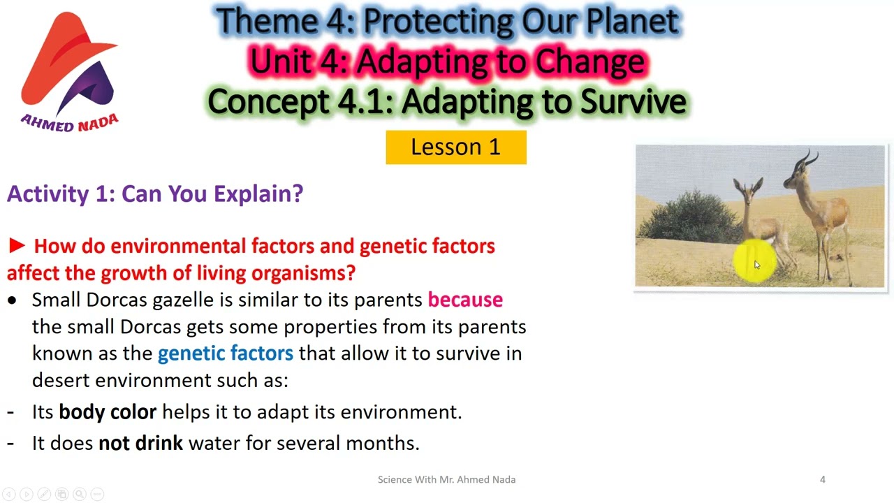 Adapting to Survive Science | Grade 6 | Theme 4 | Unit 4 | Concept 4.1| Lesson 1