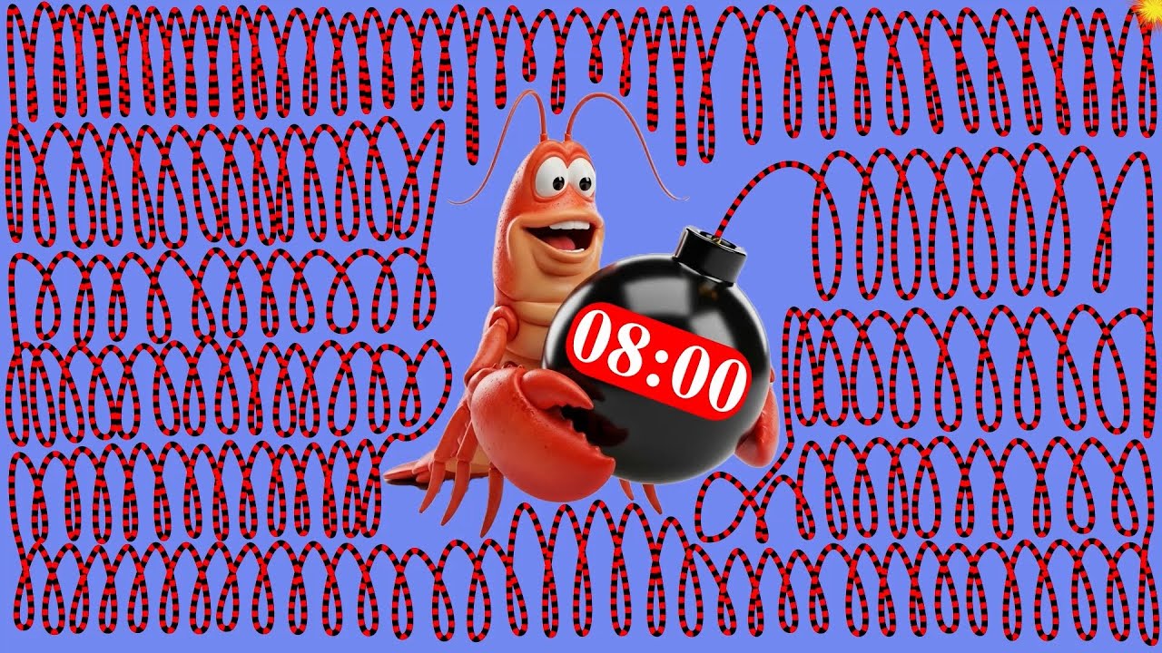 8 Minute Lobster Countdown Timer [Explosive Ending]💣 💥