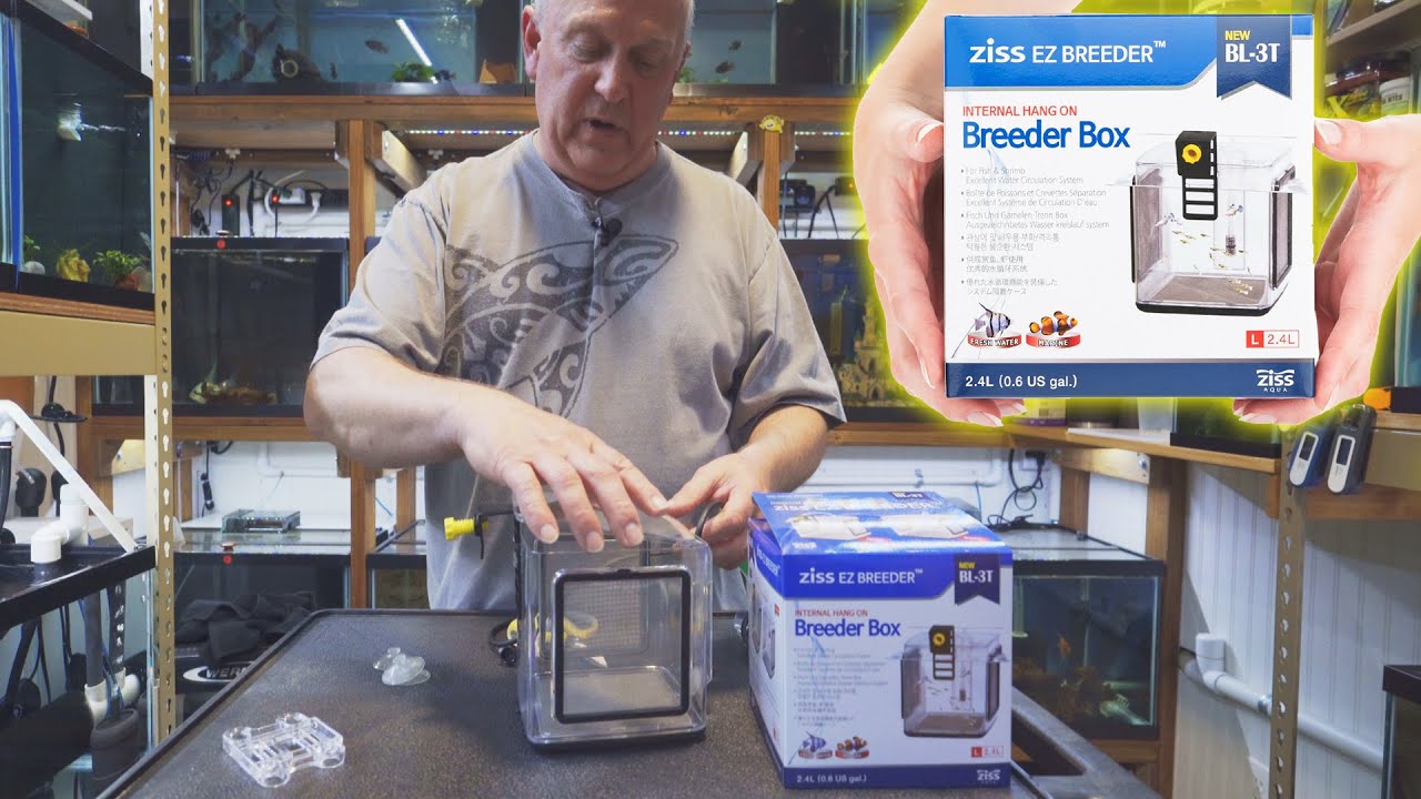 Как использовать размножающийся бокс Ziss | Aquarium Co-Op