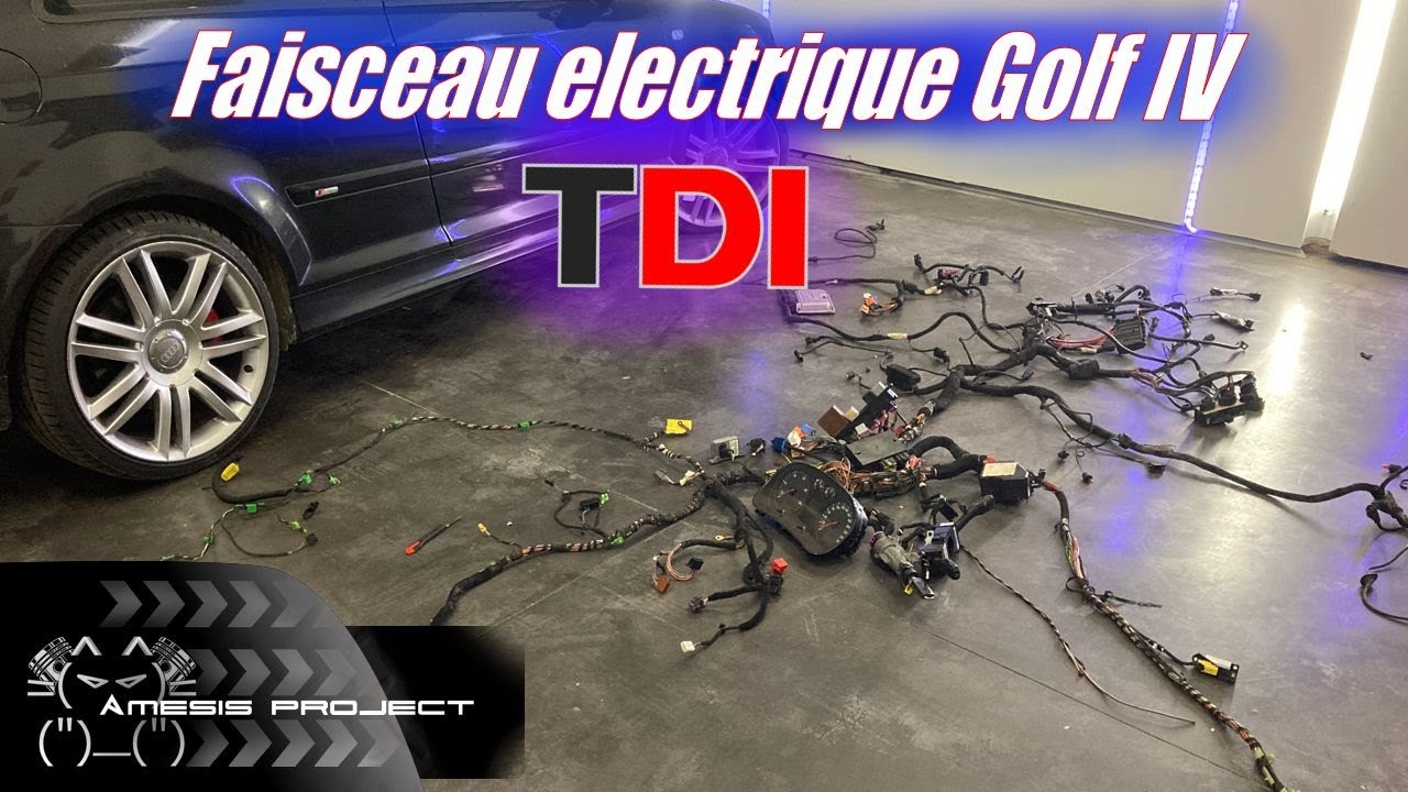 On fait le tour complet d'un faisceau complet de Golf IV TDI Pour... Surprise !!!!