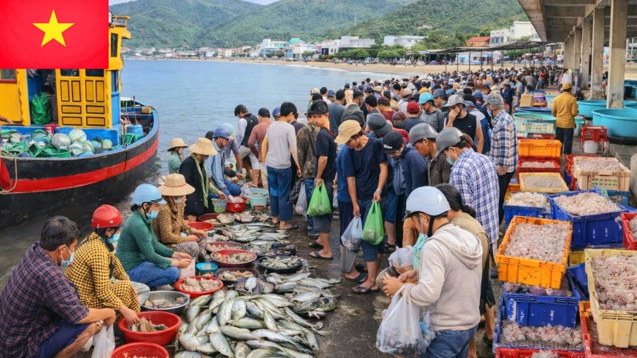 Unexpectedly Encounter a Boat Full of Ruot Fish | Early Morning at Dai Lanh Fishing Port 🇻🇳
