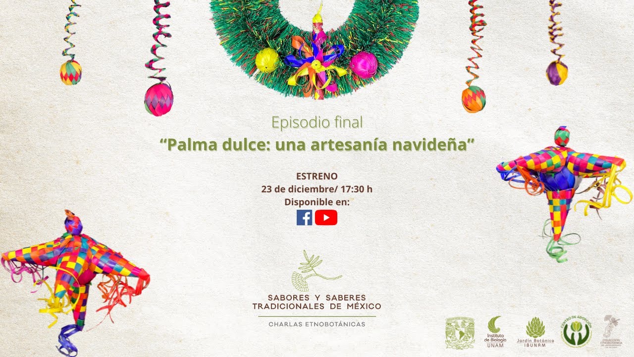 Charlas etnobotánicas: Palma dulce: una artesanía navideña