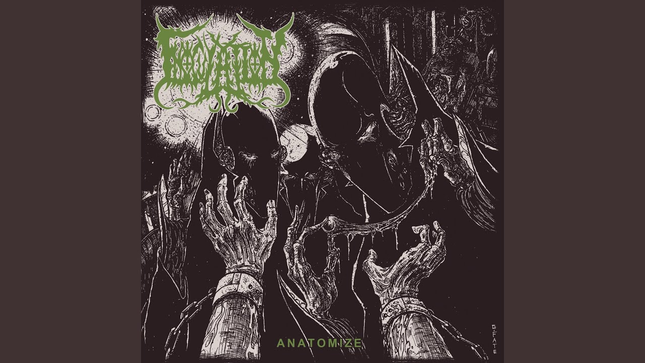 Anatomize