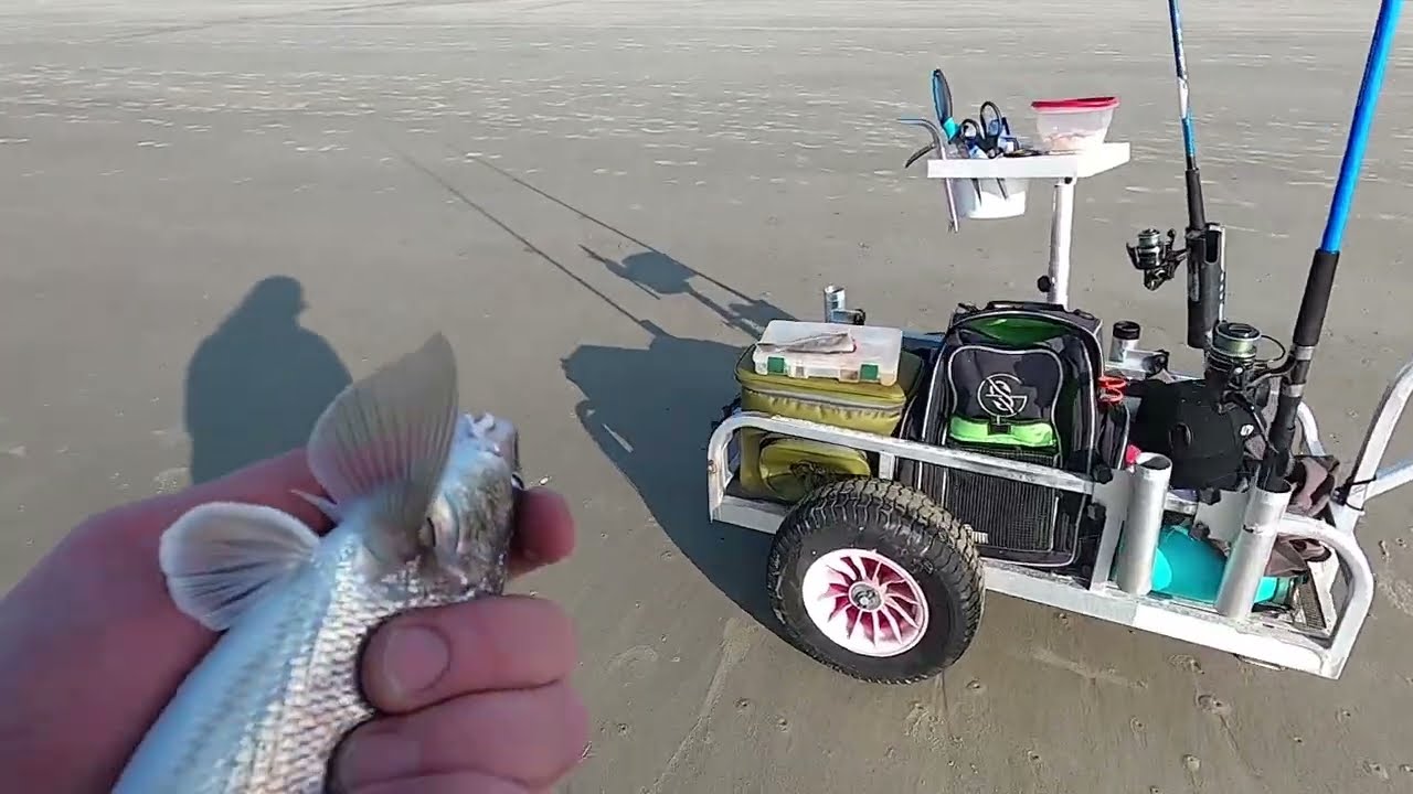 Surf Fishing Hilton Head Island With A Subscriber When THIS HAPPENED