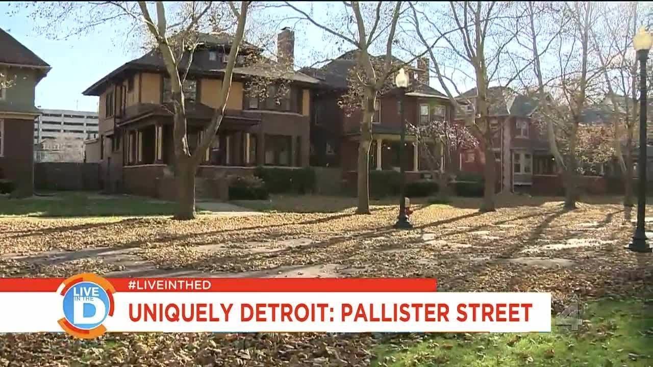 Uniquely Detroit: Take a walk down Pallister Street