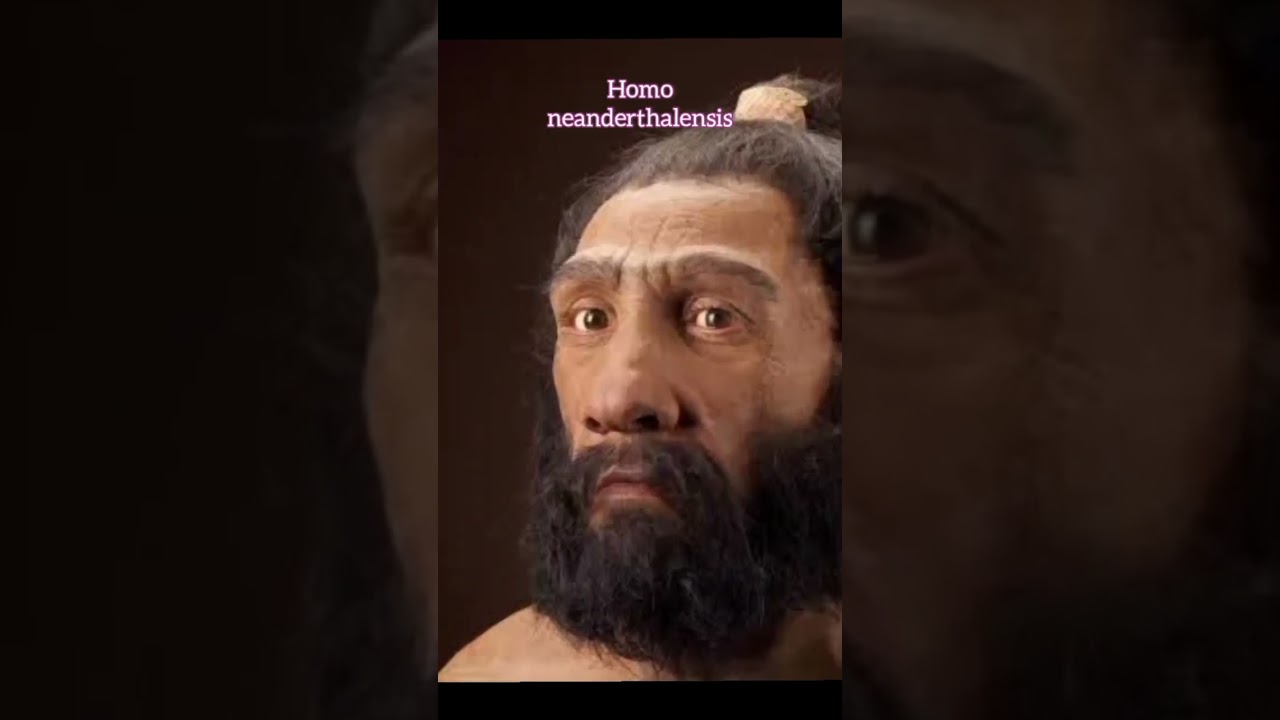 human species lived before us.  #homoerectus #homohabilis #homoneanderthalensis #homosapien.