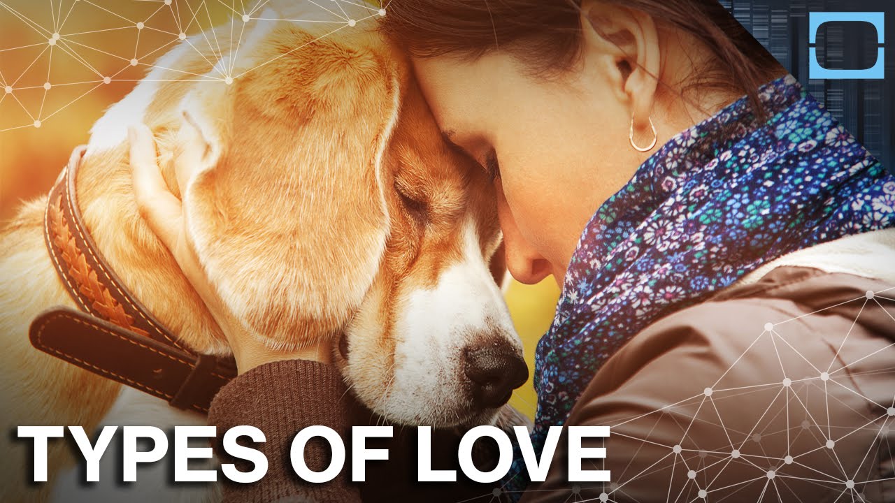 Can You Love Your Dog More Than Your Baby?