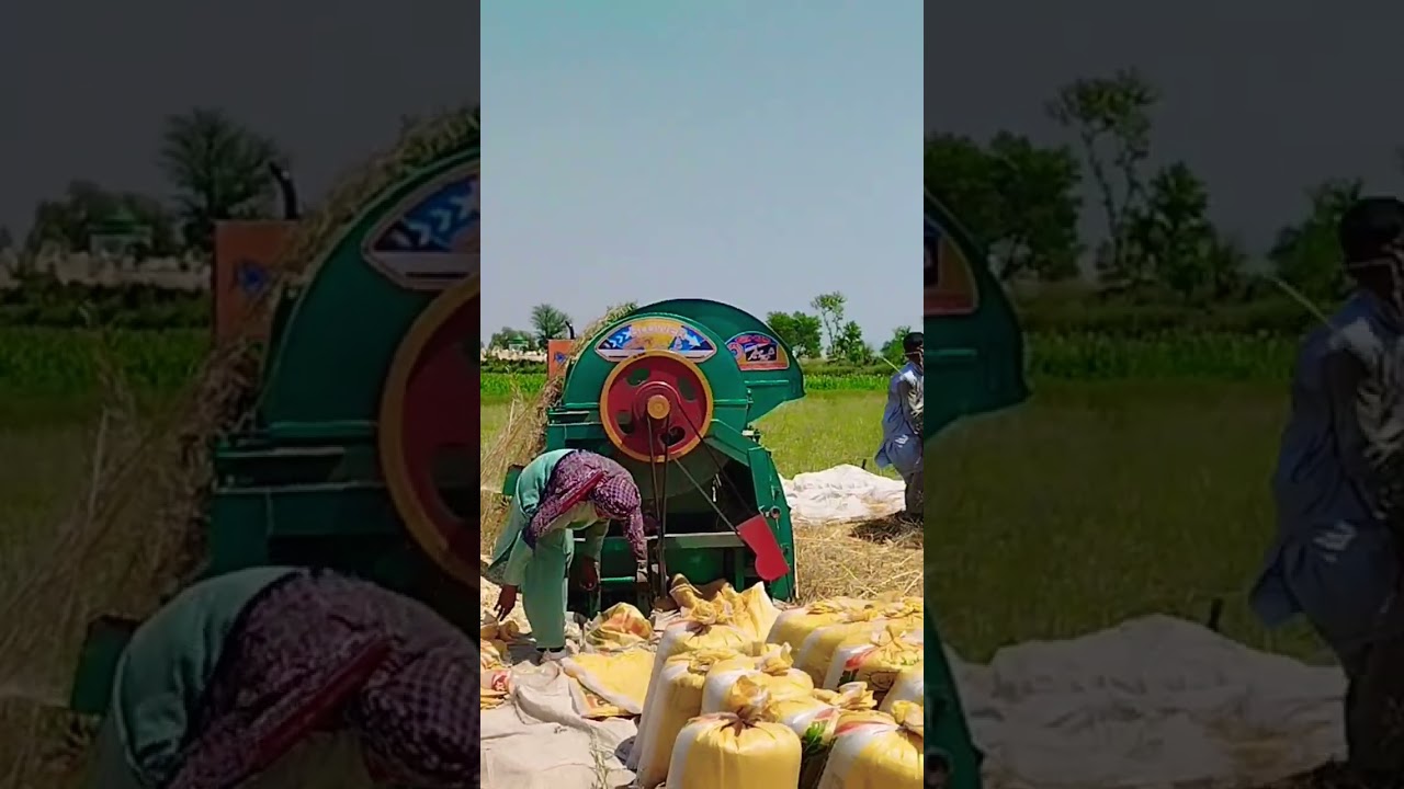 #PunjabKisan#punjabi #Layallpur #pakistan