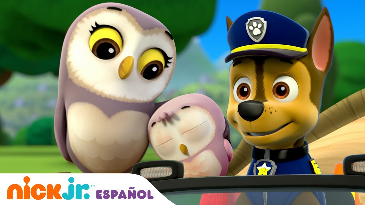 PAW Patrol | ¡Los cachorros salvan un bebé búho! | Nick Jr. en Español