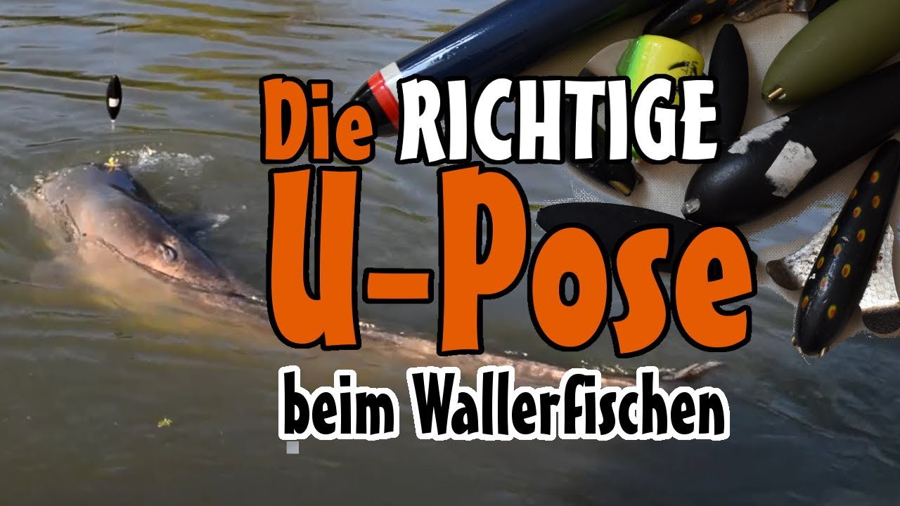 Uposenmärchen // Wallerangeln mit Uposen