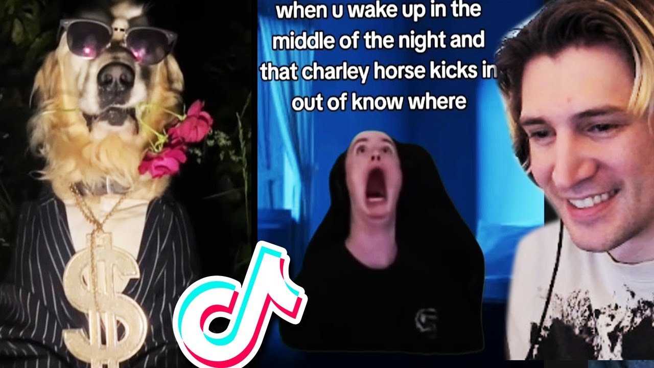 xQc Reacts to ONLY GOOD TIK TOKS