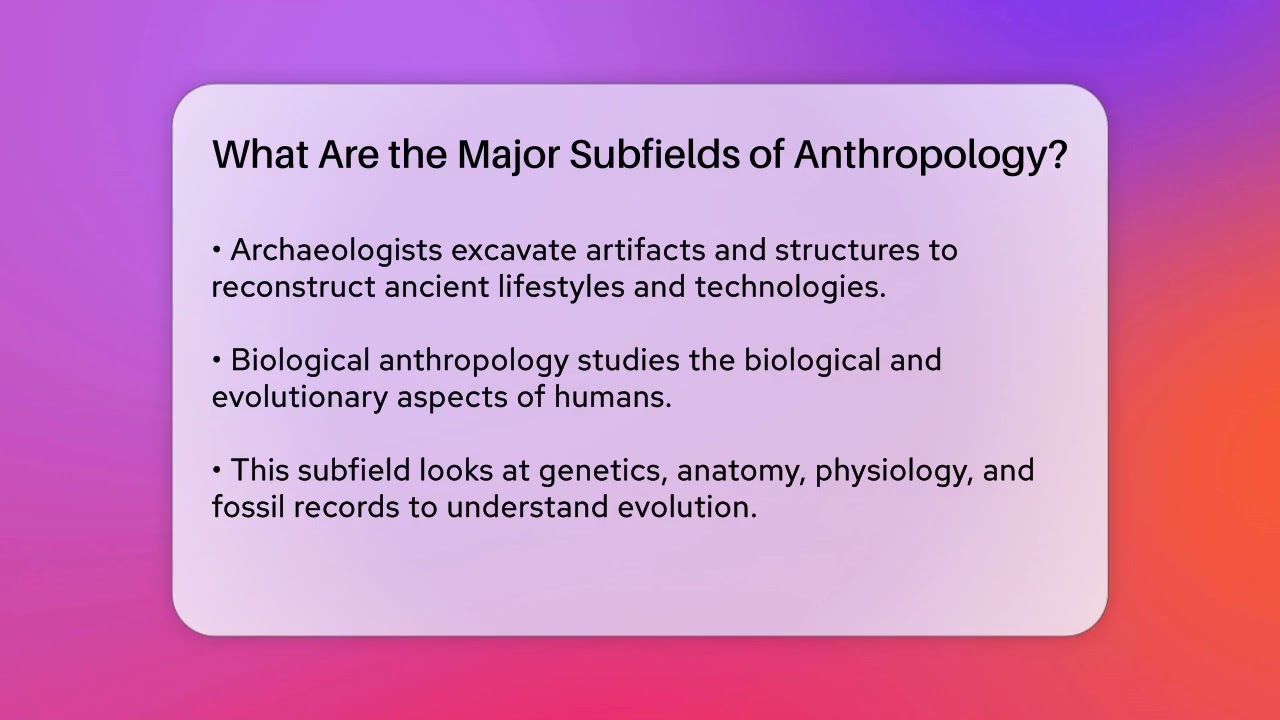 What Are the Major Subfields of Anthropology? | Archaeology Quest