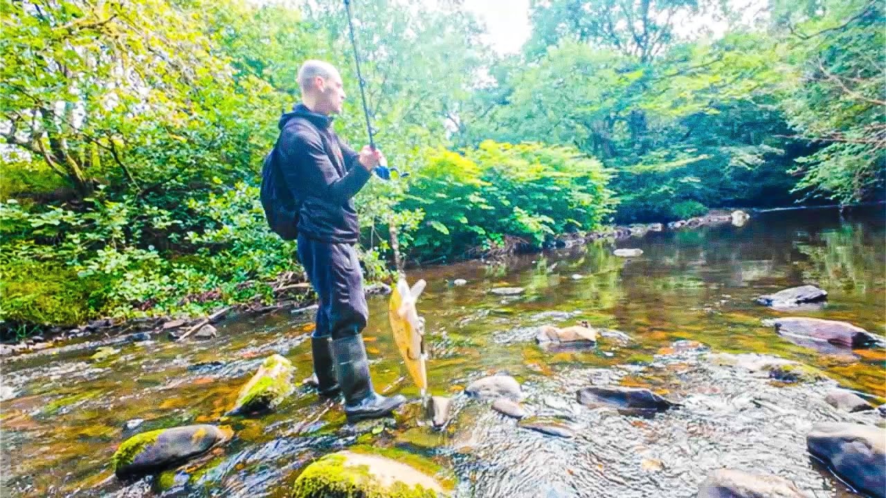 Lure Fishing a Wild Scottish River!
