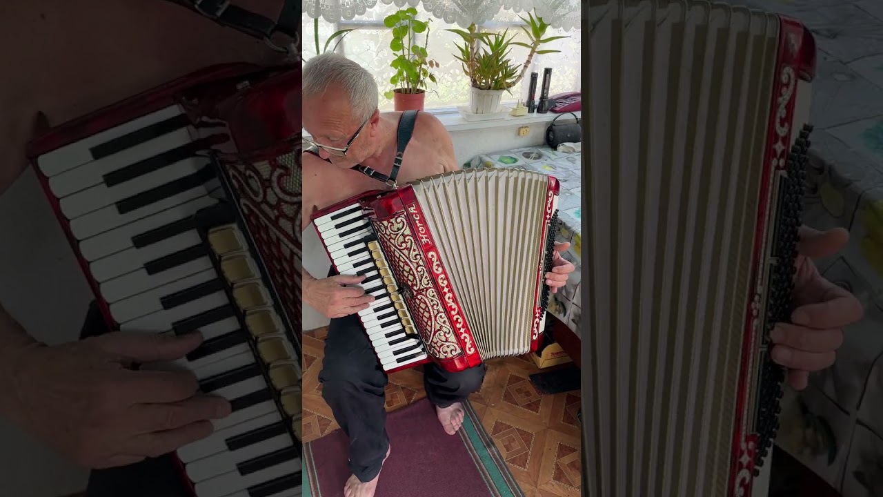 Horch full size accordion, 120 Bass, Professional Concert Accordion, 11+3 Register, Germany, ON SALE