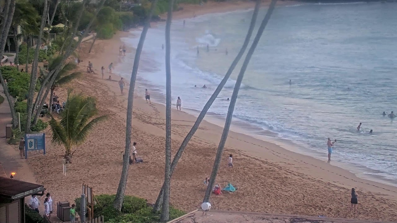 LIVE Maui Beach Cam | Napili Kai Beach Resort | Maui Live Cam