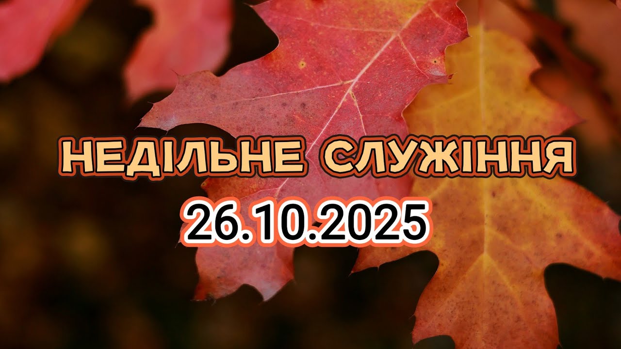 ББЦ Фастів в прямом эфире!