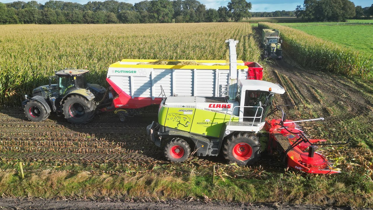 Mais Silage | Claas Jaguar 900 | Pleizier & Timmer | 2024