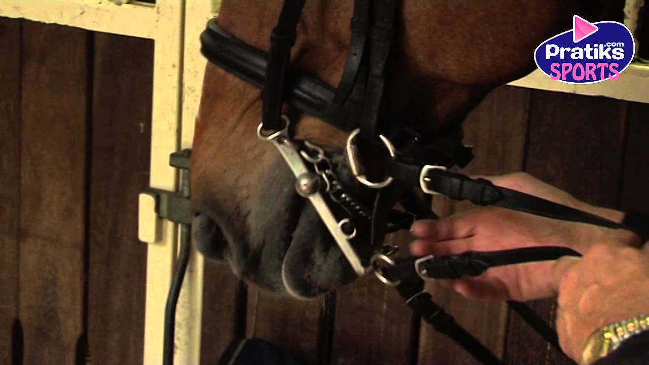 Equitation - Comment brider un cheval
