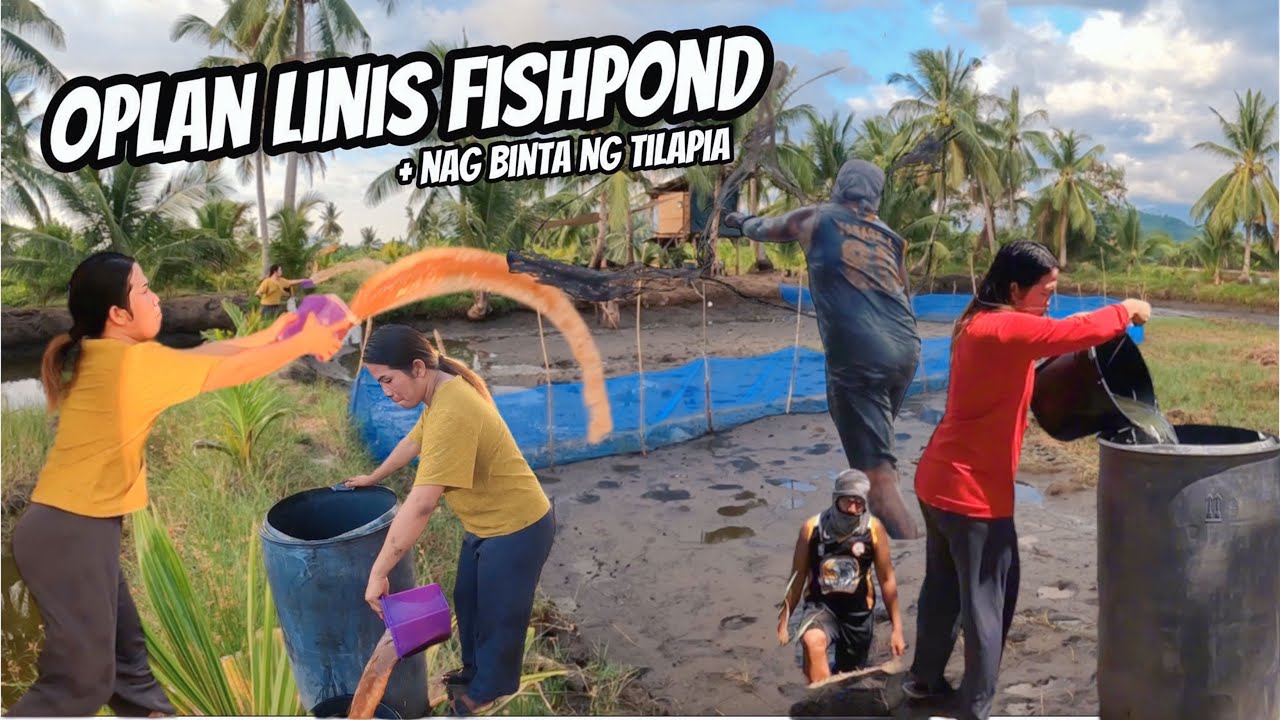 NAGHAGIS KAMI NG TEA SEED SA FISHPOND | OPLAN LINIS FISHPOND
