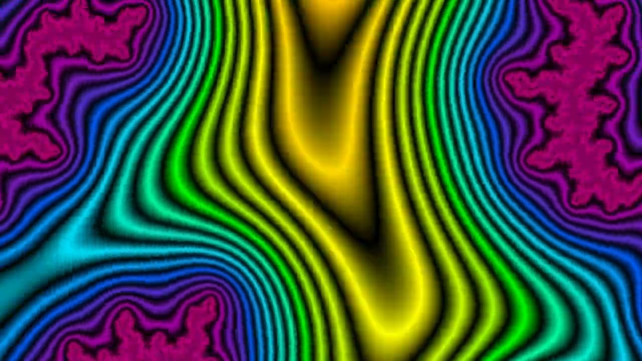 Fractal 2026-02-28